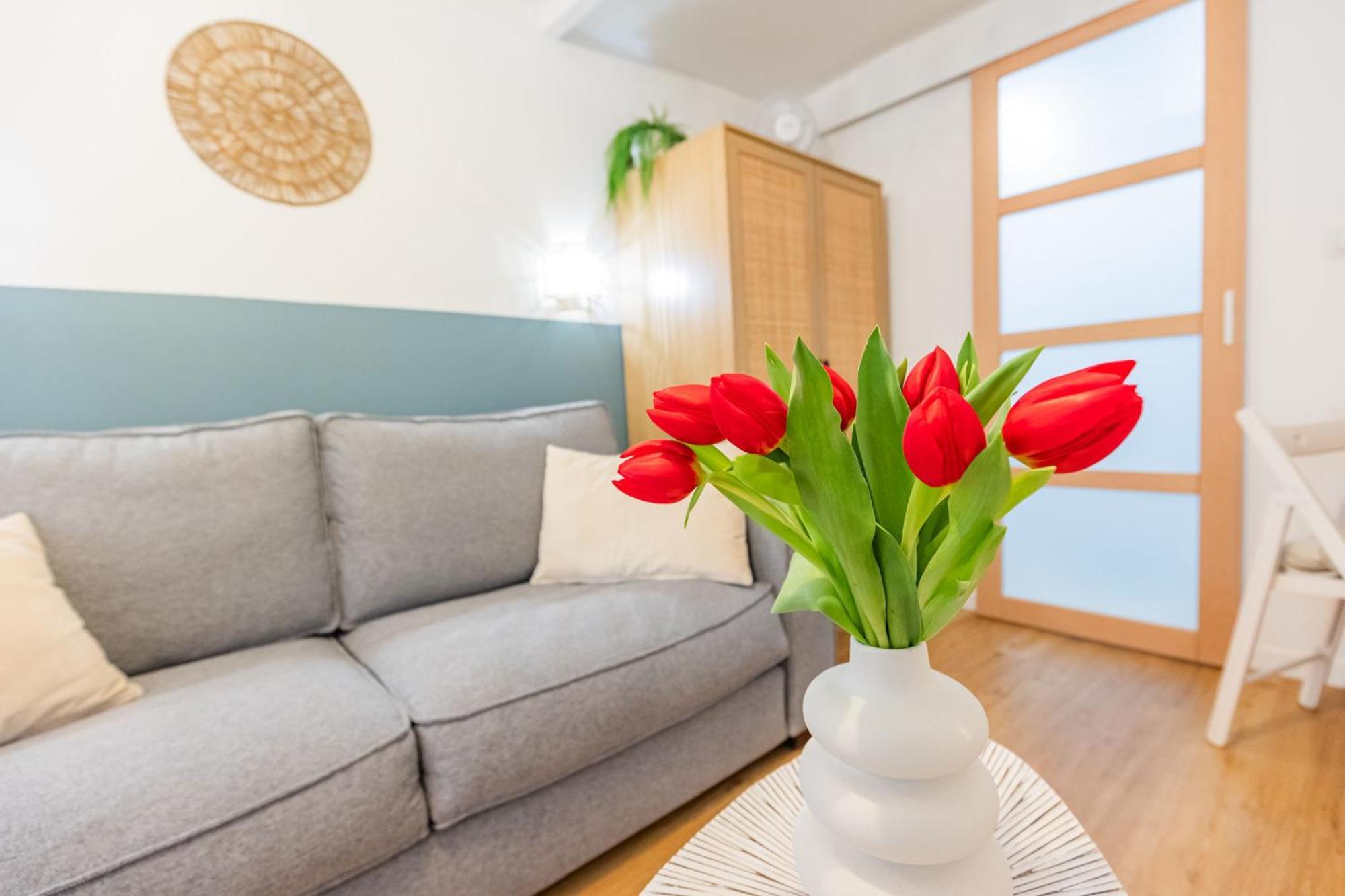 Studio Cozy Centre Avec Parking 格拉斯 外观 照片
